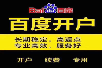 热门信息流广告投放公司案例分析